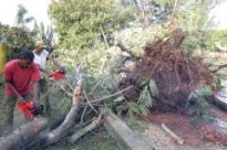 En Cuba xa deron comezo os labores de recuperación